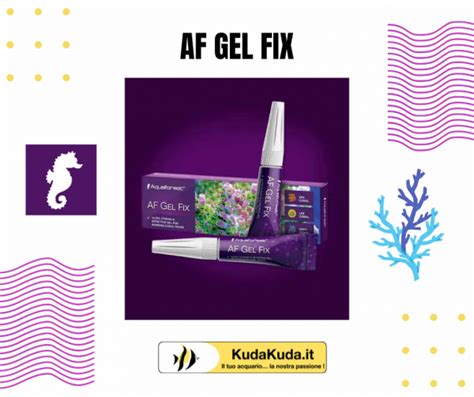 Aquaforest AF Gel Fix 2x20gr Kudakuda It I Tuoi Acquari La Nostra