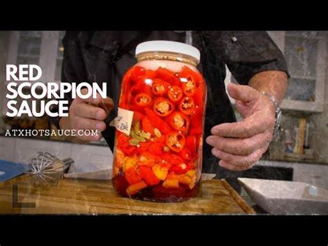 How To Make Red Scorpion Hot Sauce ATX Hot Sauce YouTube Hot Sauce Recipes Hot Sauce
