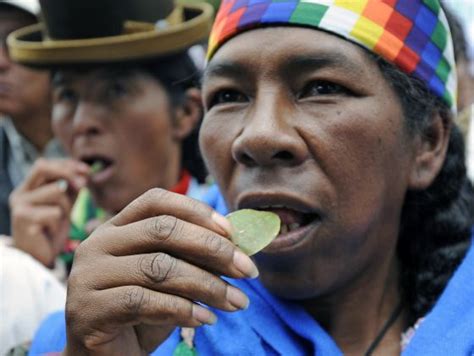 UN Recognizes Bolivians Historical Right To Grow And Chew Coca Leaves