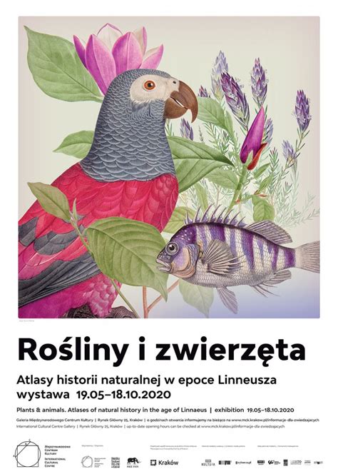 Plakat Rośliny i Zwierzęta II