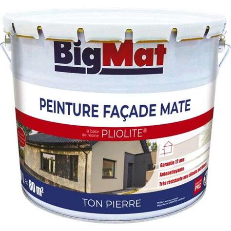 Peinture pour façade BIGMAT pliolite blanc Pot de 10 L BigMat