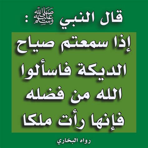 Inspirational Islamic Quotes In Arabic And English