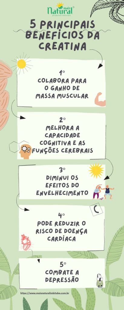 Creatina para que serve Quais os benefícios de tomar creatina Mais