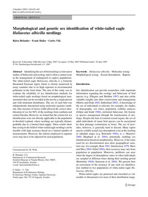 Morphological And Genetic Sex Identification Of White Tailed Eagle DocsLib