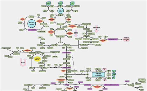 生物化学反应 流程图模板processon思维导图、流程图