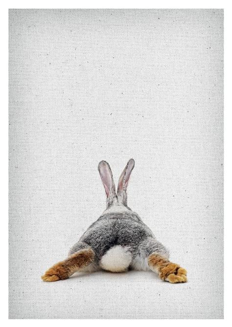 Bunny Wall Art Rabbit Wall Art Rabbit Print Bunny Artwork Bunny