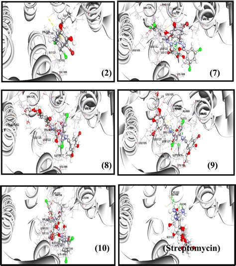 Molecular Docking Interactions Of The Compounds 2 7 8 9 10 And