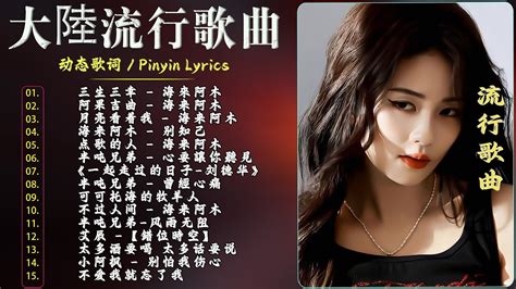 2024中国大陸流行歌曲 不能不听的50首精选歌【動態歌詞lyrics】2024好听的流行歌曲 💖 小阿枫 别怕我伤心 太多酒要喝 太多话要说 你是我唯一的寄托 等你等到白了头