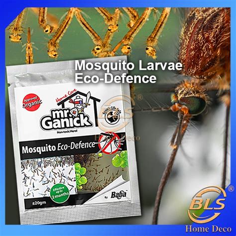 Bls Baba Mr Ganick Mosquito Larvae Eco Defence G Ubat Jentik Jentik