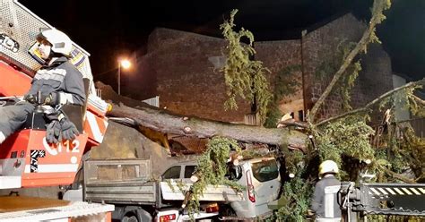 Albero Cade E Distrugge Quattro Auto In Sosta