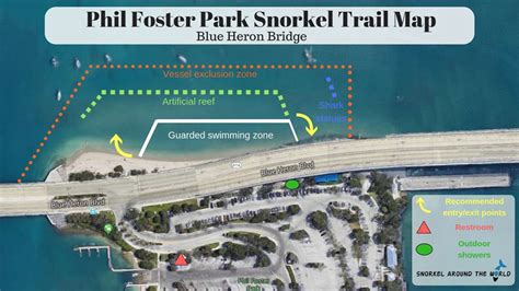 Guide To Snorkeling At Blue Heron Bridge - Phil Foster Park Florida