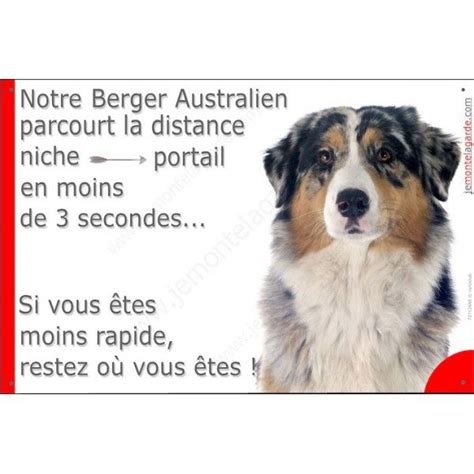 Aussie Bleu Merle T Te Plaque Portail Humour Pancarte Panneau Dr Le