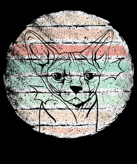 Retro Vintage Sphynx Cat Hairless Naked Cat Owner Digital Art By Mercoat UG Haftungsbeschraenkt