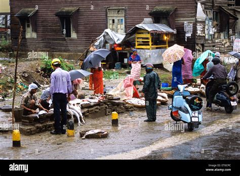 Fish Market Port Blair Andaman Islands Andaman And Nicobar