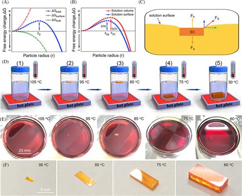 Crystallization Of PEA 2PbI4 Perovskite Single Crystals A The Gibbs