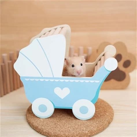 Hamster Wood Toyssugar Glider Hideouthamster Suppliesgolden Bear