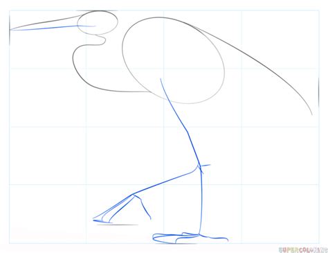 How To Draw A Great Blue Heron Step By Step Drawing Tutorials