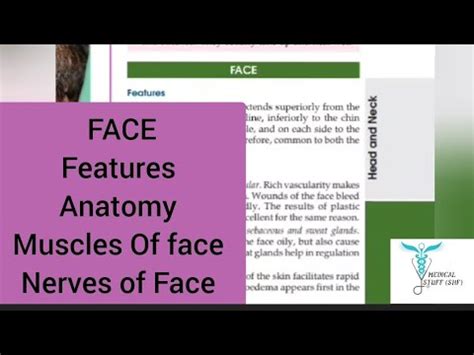 Muscles Of Face Face Head And Neck Anatomy Bds1styear Mbbs2ndyear