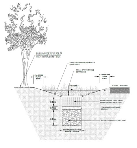 The Brighton Beach Bioswale Project Water Canada