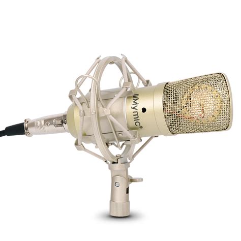 i ONE Condenser Microphone !! 34mm Gold Diaphragms Capsule ...