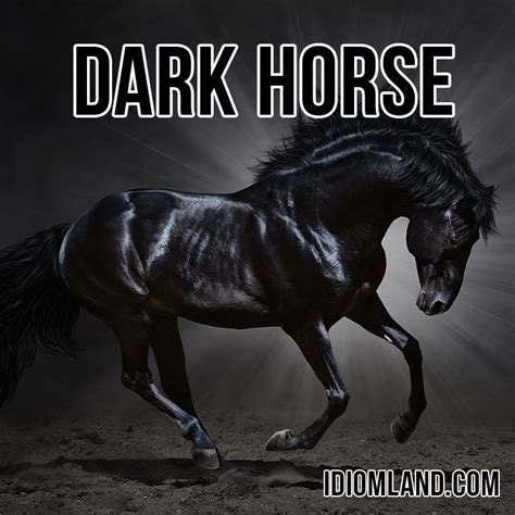 Idiom Land English Idioms, Dark Horse, Horses, Animals, English Talk ...