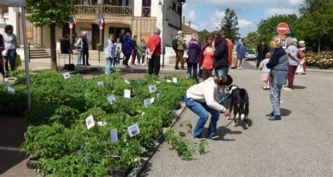 Montpont En Bresse La F Te Des Fleurs Et Des Jardins Revient Ce Dimanche