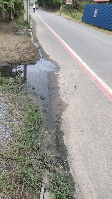 Boca de lobo entupida e mato avançando sobre a pista moradores da