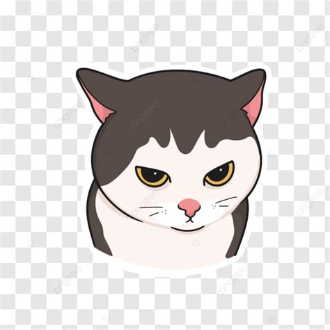 Ilustrasi Stiker Meme Kucing Marah Melukis Meme Stiker PNG