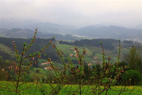 Nieblas Nieblas Y Lluvia Fina Eitb Eus Flickr