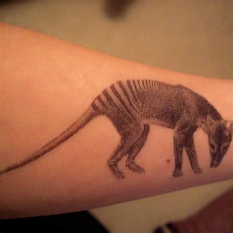 Tasmanian Tiger Tattoo Design