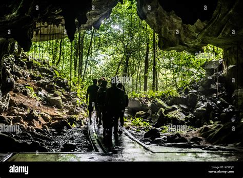 Mulu National Park Lang Cave Stock Photo Alamy