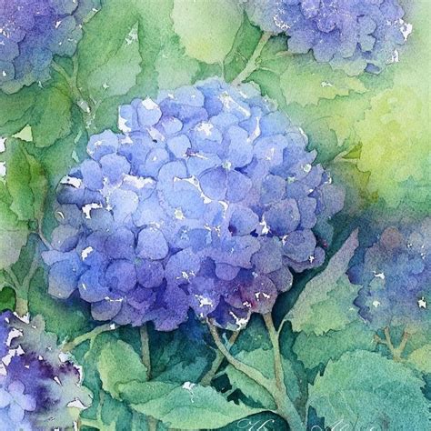 Karin Åkesdotter On Instagram Hydrangea Watercolor I Use Ds And Wandn