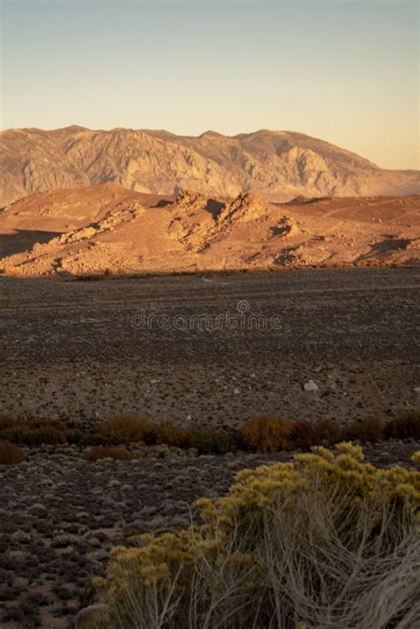 Morning View Of Hills Mountains Desert Valley Wildflowers Eastern