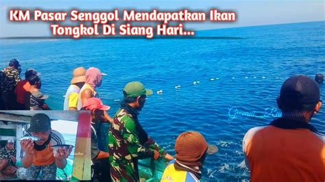 Km Pasar Senggol Mendapatkan Ikan Tongkol Di Siang Hari Mei