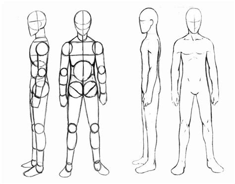 Male Body Drawing Easy We take a look at how to draw the body