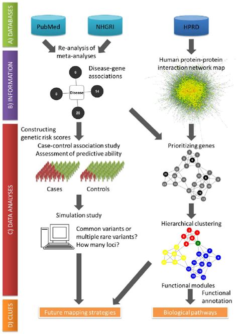 The Systems Genetics Approach Proposed In This Study A Databases From