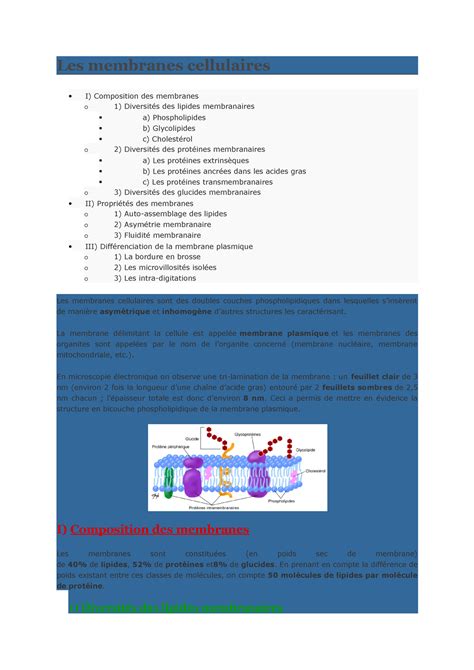 Les membranes cellulaires La membrane délimitant la cellule est