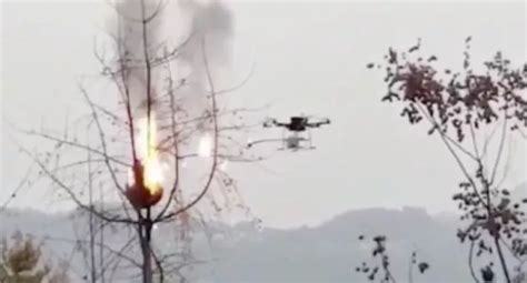 Flamethrower Drone Sets Wasp Nests On Fire After Villagers Stung To