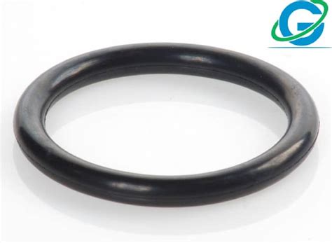 Shop Global O Ring And Seal