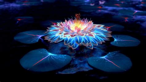 Black Lotus Wallpaper Hd Free Ultrahd Wallpaper Images