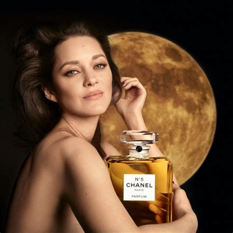 Marion Cotillard Strips Naked For Very Steamy Sex Sce Vrogue Co