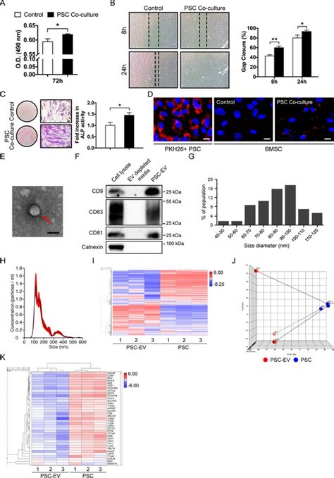 Figures And Data In Human Perivascular Stem Cell Derived Extracellular