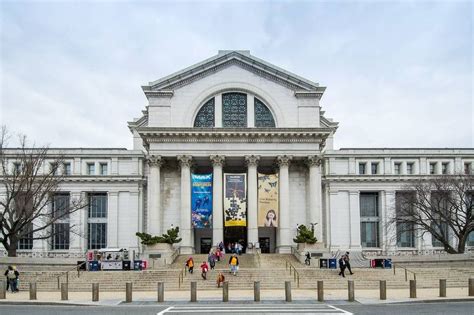 National Museum Of Natural History Washington Dc Travel Washington