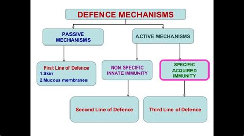 Mechanisms