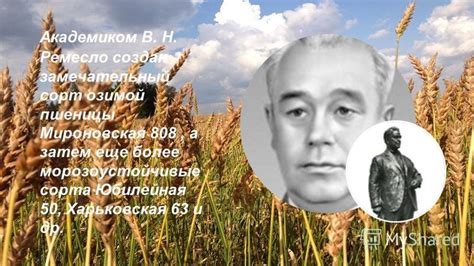 Презентация на тему: "Достижения селекционеров нашей страны.". Скачать ...