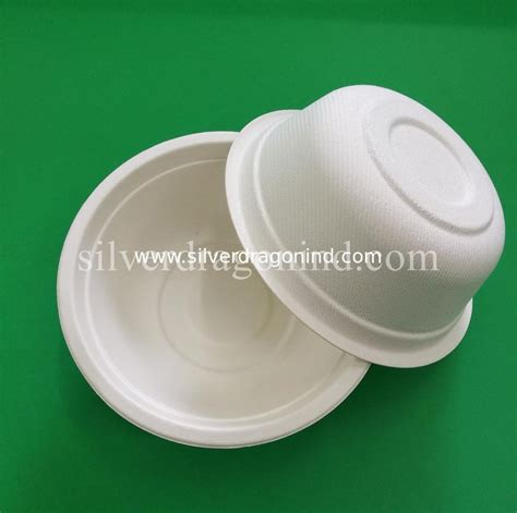 Biodegradable Disposable Sugarcane Pulp Paper Bowl Food Grade