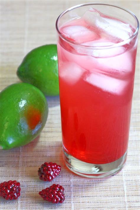 Raspberry Lime Rickey Drink Recipe 1 Lime Rickey Alcoholic Cocktails Best Flavored Vodka