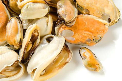 The Benefits Of Mussels For Health Annastella