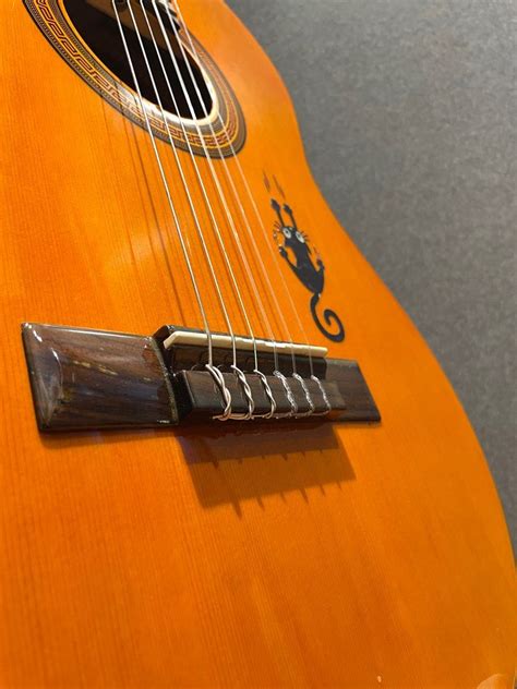 Epiphone PRO 1 Classic AN acoustic guitar 興趣及遊戲 音樂樂器 配件 樂器