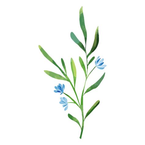 Design Png E Svg De Flores Em Aquarela De Ramos Azuis Para Camisetas